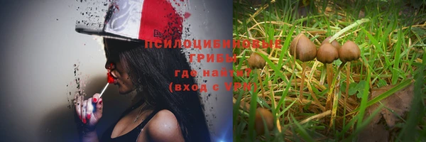 кокс Алзамай