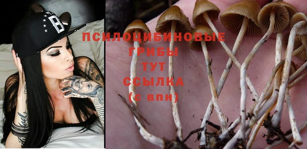 кокс Алзамай