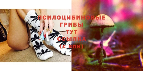мяу мяу мука Алексин