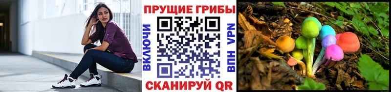 Псилоцибиновые грибы мухоморы Сунжа